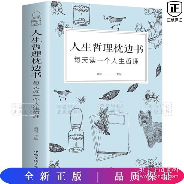 正版速发 人生哲理枕边书成人故事书 心灵鸡汤每天读一个人生哲理