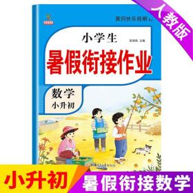 (K-7T) 小学生暑假衔接作业小升初-数学【人教】