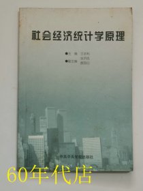 社會經(jīng)濟統(tǒng)計學(xué)原理