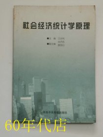 社会经济统计学原理