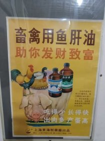 少见改革开放初期畜禽鱼肝油广告一张