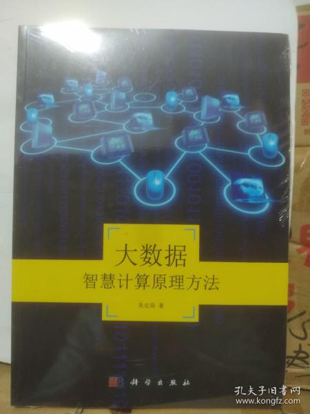 地理信息系统理论与应用丛书：大数据智慧计算原理方法