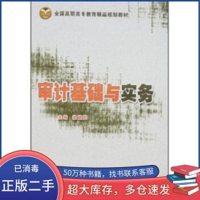 審計(jì)基礎(chǔ)與實(shí)務(wù)梁建民清華大學(xué)出版社9787811231168