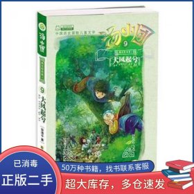 汤小团-大风起兮