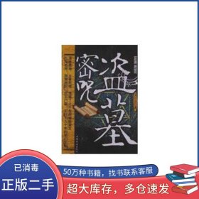 盜墓密咒文丑丑中國華僑出版社9787511333780