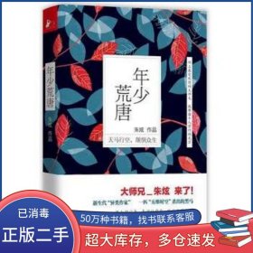 年少荒唐朱炫江苏文艺出版社9787539984308