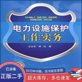 電力設(shè)施保護(hù)工作實(shí)務(wù)譚凱 著 王谷承中國(guó)電力出版社9787512321847