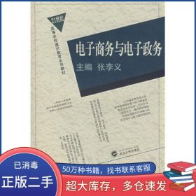 电子商务与电子政务张李义　主编武汉大学出版社9787307050204