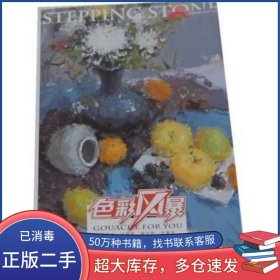 色彩風(fēng)暴 色彩靜物 色彩訓(xùn)練廖凱重慶出版社9787229055912