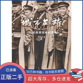 城市英雄羅時漢長江文藝出版社9787535447081