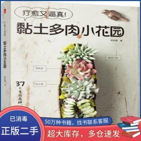 療愈又逼真！黏土多肉小花園吳鳳凰華中科技大學(xué)出版社9787568029438