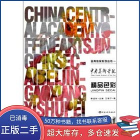 精品色彩王艳宁黑龙江美术出版社9787531829553