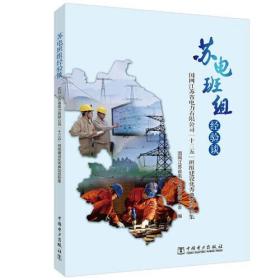 苏电班组经验谈——国网江苏省电力有限公司“十三五”班组建设优秀典型经验集