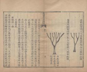 【提供资料信息服务】古籍善本仿真复刻_底本为清光绪三年广州刻本：广蚕桑说辑补，线装原书为1册，沈练原撰，农学专著，本店此处销售的为该版本的原大全彩、仿真微喷、宣纸线装本。