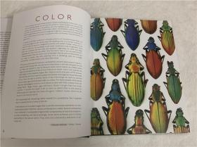 Pheromone: The Insect Artwork of Christopher Marley马利的昆虫艺术标本