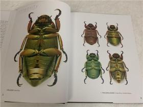 Pheromone: The Insect Artwork of Christopher Marley马利的昆虫艺术标本