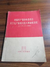 中国共产党中央委员会关于无产阶级*****的决定（一九六六年八月八日通过）