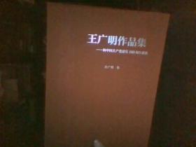 王广明作品集