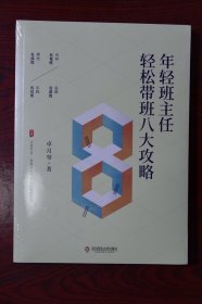 年轻班主任轻松带班八大攻略（全国中小学班主任培训用书） 大夏书系