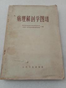 病理解剖学图谱 JQ0202