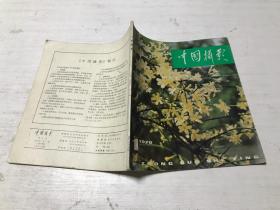 中国摄影（1979年第1期）