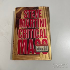 STEVE MARTINI CRiTICAL MASS