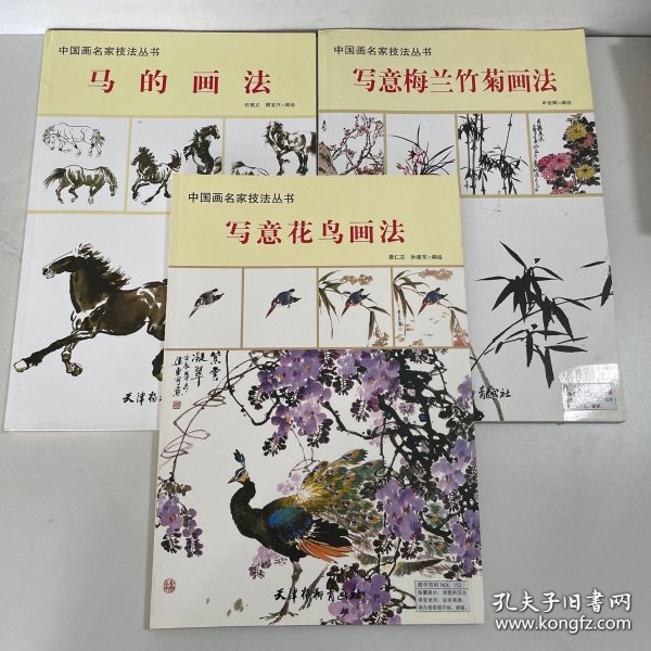 百花画谱：画出最美的东方工笔花卉