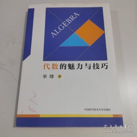 代数的魅力与技巧