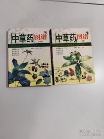 中草药图谱2