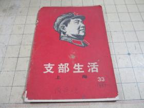 上海支部生活1967 【33】