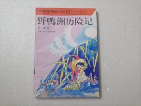 野鸭洲历险记（小学生精品书库）（修订版）