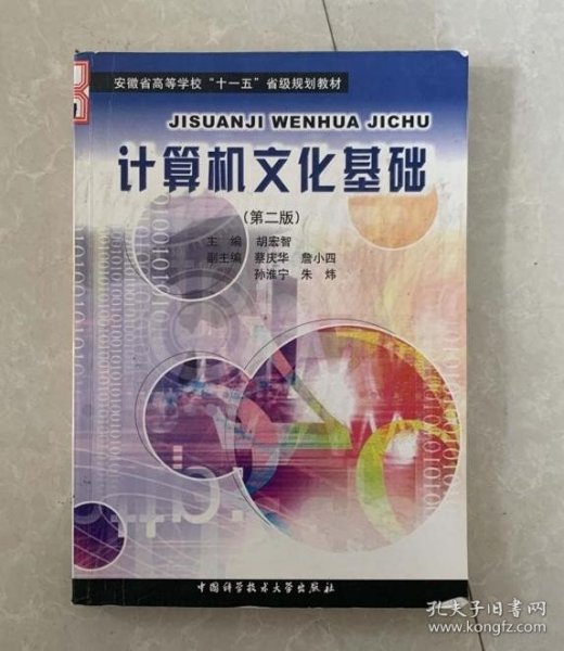 安徽省高等学校十一五省级规划教材：计算机文化基础（第2版）