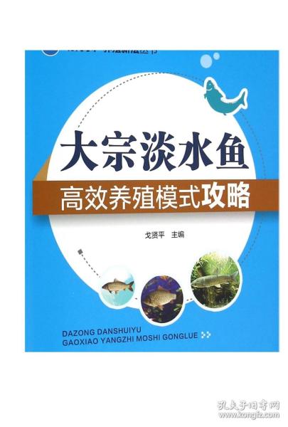 现代水产养殖新法丛书：大宗淡水鱼高效养殖模式攻略