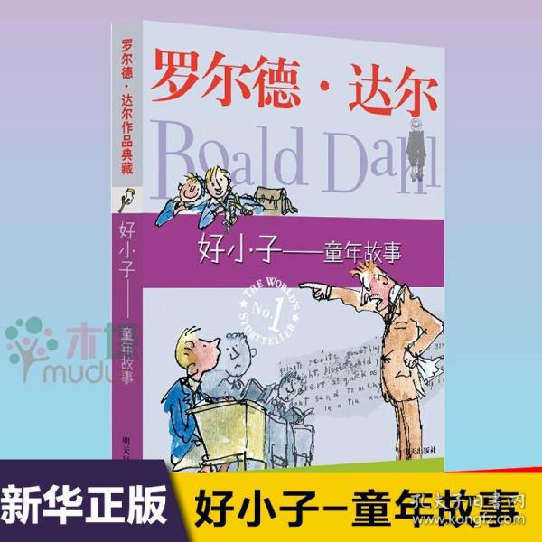 好小子-童年故事：罗尔德·达尔作品典藏