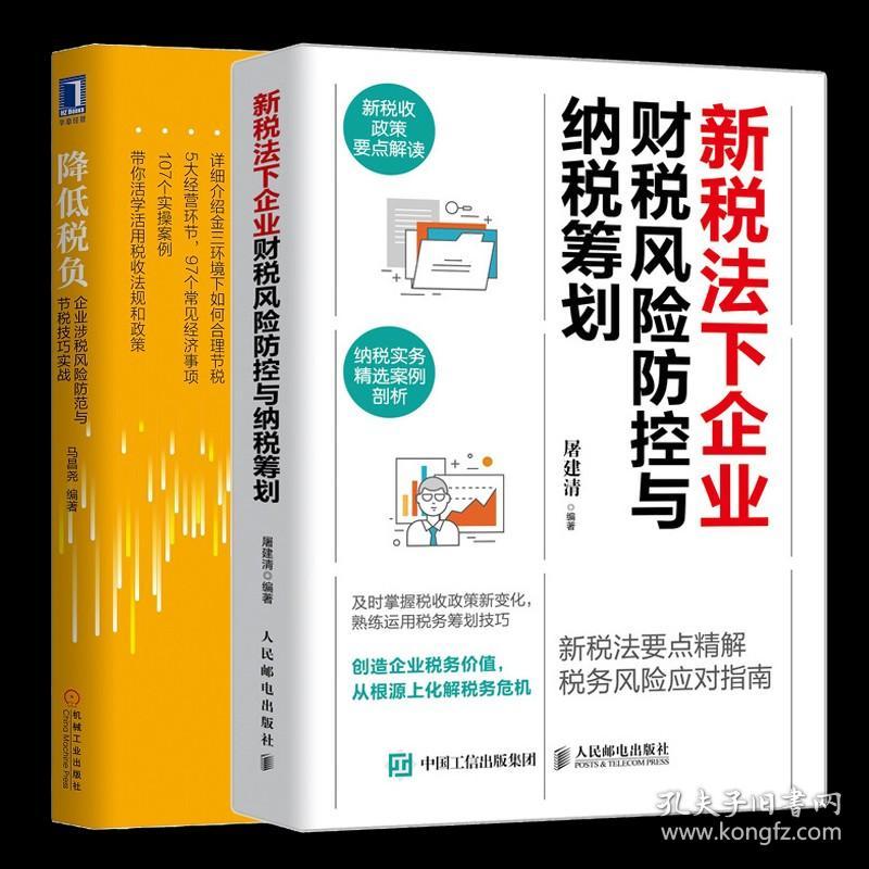 新税法下企业财税风险防控与纳税筹划+降低税负 企业涉税风险防范与节税技巧实战 财税知识 规避纳税风险提高节税技巧书籍