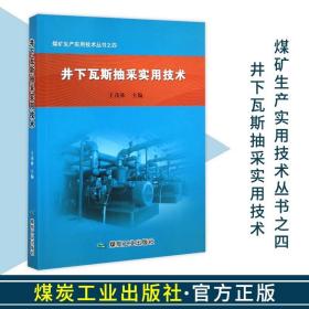 井下瓦斯抽采实用技术 煤矿生产实用技术丛书之四 王茂林编 煤炭工业出版社9787502047566