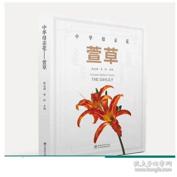 中华母亲花：萱草