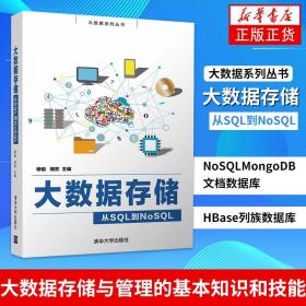 大数据存储——从SQL到NoSQL（大数据系列丛书）