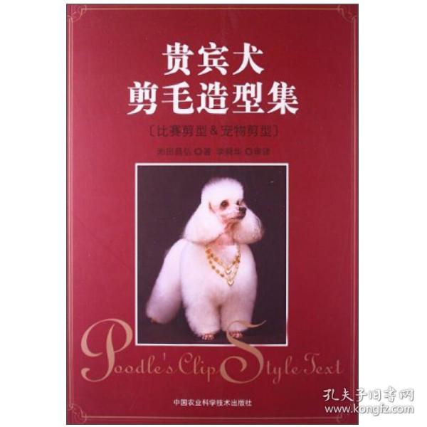 贵宾犬剪毛造型集