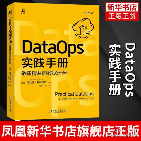 DataOps实践手册：敏捷精益的数据运营