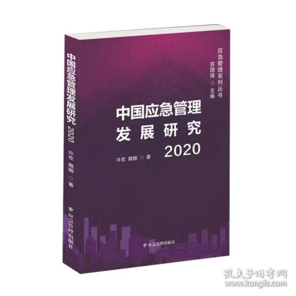 中国应急管理发展研究2020