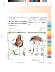 正版  汉法英百科图解词典 商务国际  英语词典 英汉字典 英语工具书 汉英双解英语大全百科全书