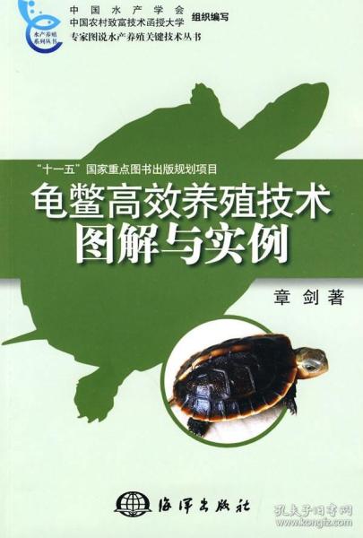 龟鳖高效养殖技术图解与实例