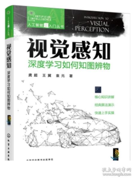 人工智能超入门丛书--视觉感知：深度学习如何知图辨物 ChatGPT聊天机器人入门