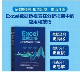 Excel数据之美：从数据透视表到分析报告 数据透视表