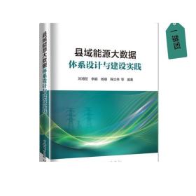 县域能源大数据体系设计与建设实践