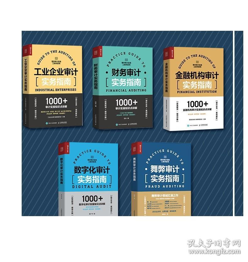 舞弊审计实务指南 财务会计财务报表经济学会计学做账企业管理税务报表审查书 人民邮电出版社