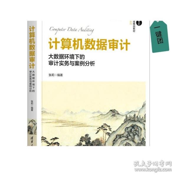 计算机数据审计(大数据环境下的审计实务与案例分析21世纪经济管理精品教材)/会计学系列