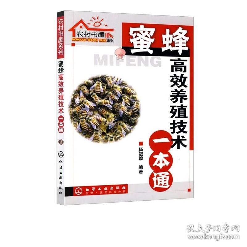 农村书屋系列 蜜蜂高效养殖技术一本通 杨冠煌 养殖 蜜蜂养殖技术大全书籍 中蜂养殖技术实用 养蜂书籍大全中蜂养殖技术大全书