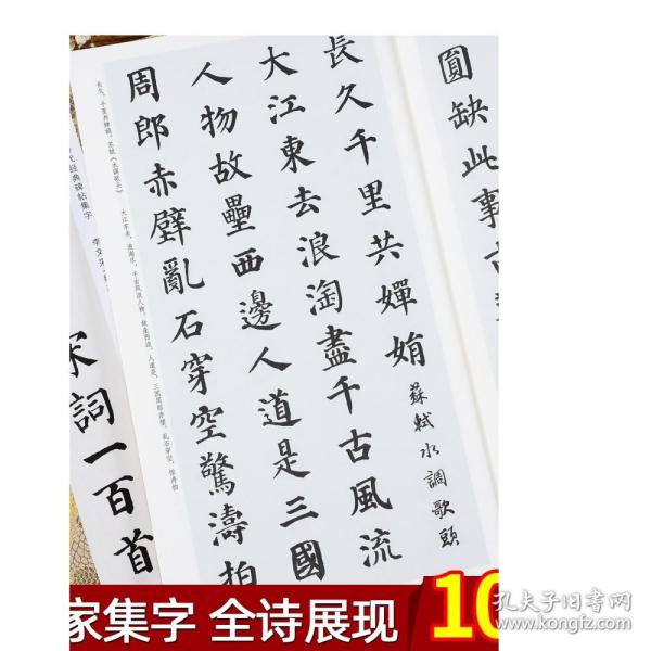 颜真卿楷书集字宋词一百首/中国历代经典碑帖集字